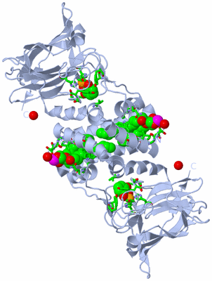 Image Biol. Unit 1 - sites