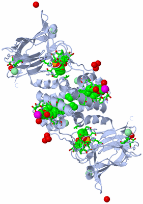 Image Biol. Unit 1 - sites