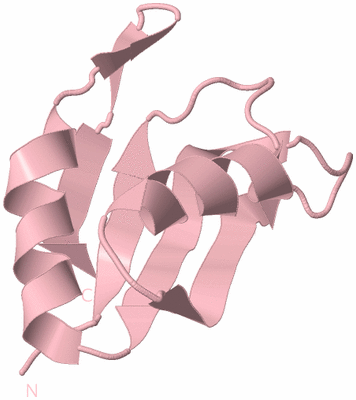 Image Biological Unit 3