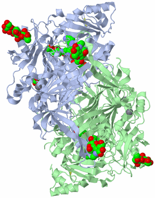 Image Asym./Biol. Unit