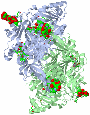 Image Asym./Biol. Unit - sites