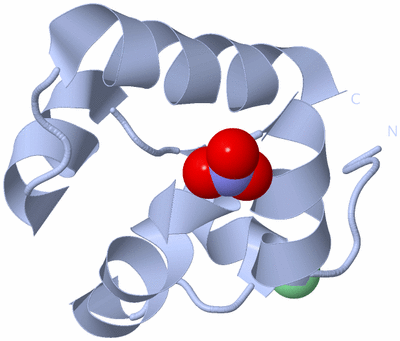 Image Biological Unit 1