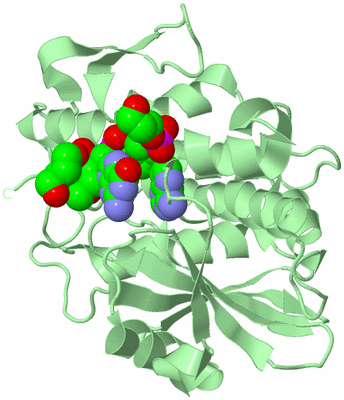 Image Biological Unit 2