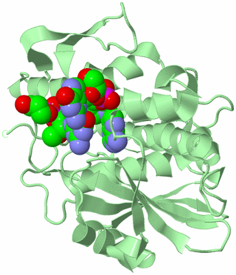Image Biological Unit 2
