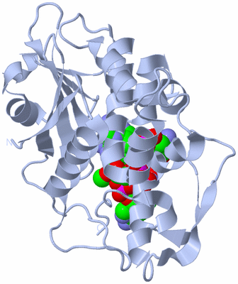 Image Biological Unit 1