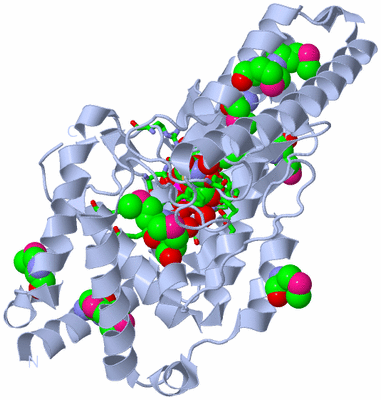 Image Biol. Unit 1 - sites