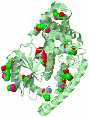 Image Biological Unit 2