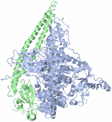 Image Asym./Biol. Unit