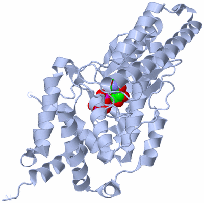 Image Biological Unit 1