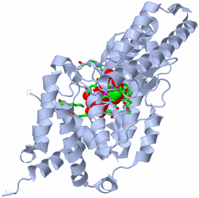 Image Biol. Unit 1 - sites