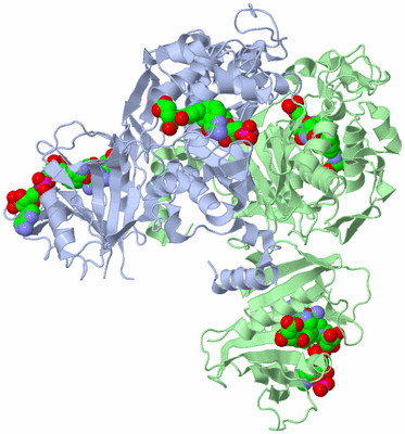 Image Biological Unit 1