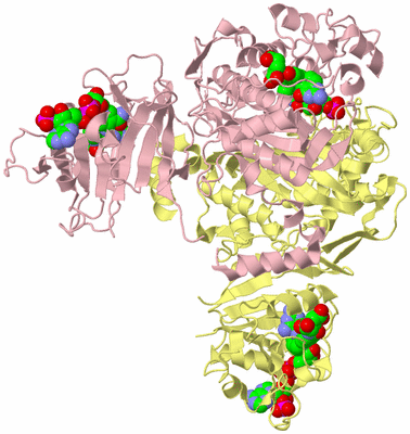 Image Biological Unit 2