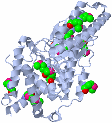 Image Biological Unit 1