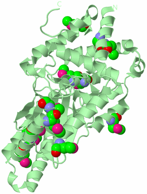 Image Biological Unit 2