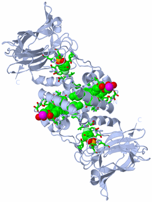 Image Biol. Unit 1 - sites