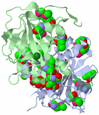 Image Asym./Biol. Unit