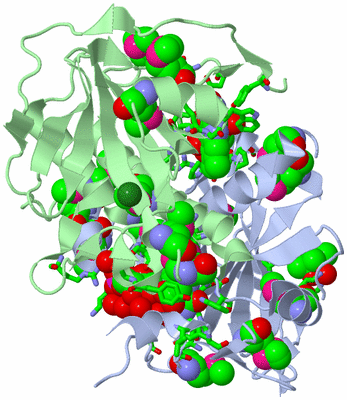 Image Asym./Biol. Unit - sites