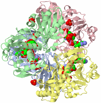 Image Asym./Biol. Unit