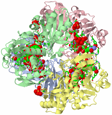 Image Asym./Biol. Unit - sites