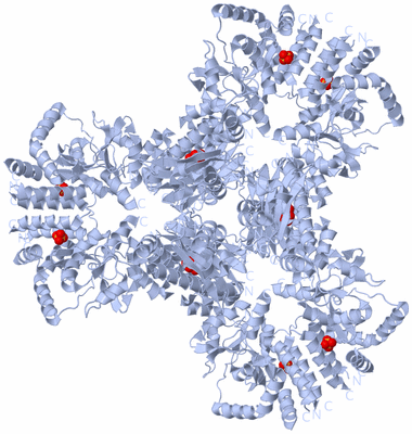 Image Biological Unit 1