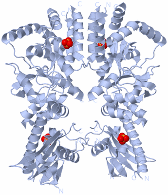 Image Biological Unit 2