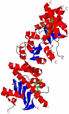 Image Asym. Unit - sites