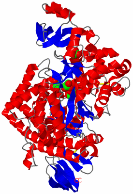 Image Asym./Biol. Unit