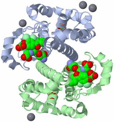 Image Asym./Biol. Unit