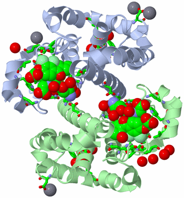 Image Asym./Biol. Unit - sites