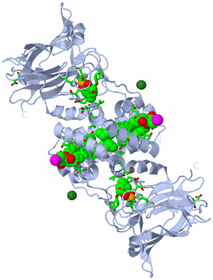 Image Biol. Unit 1 - sites