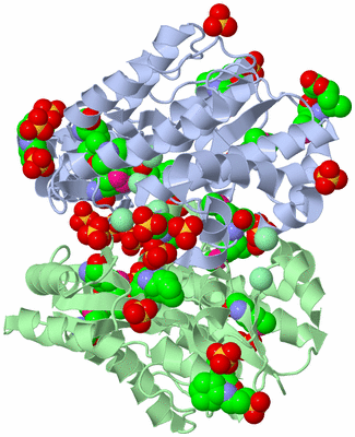 Image Asym./Biol. Unit