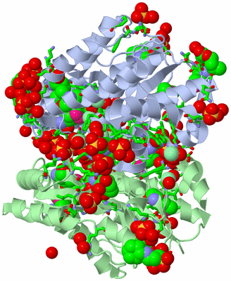 Image Asym./Biol. Unit - sites