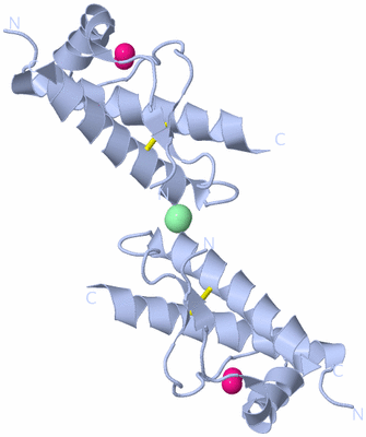 Image Biological Unit 1