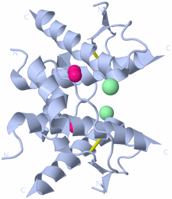 Image Biological Unit 2