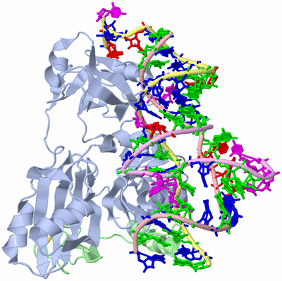 Image Asym./Biol. Unit