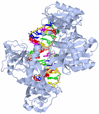 Image Biological Unit 1