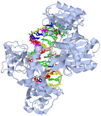 Image Biol. Unit 1 - sites