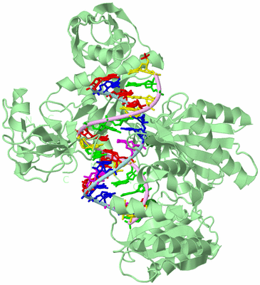 Image Biological Unit 2