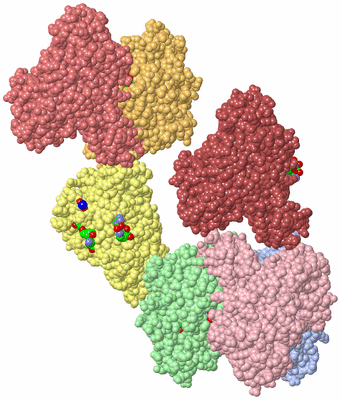 Image Biol. Unit 1 - sites