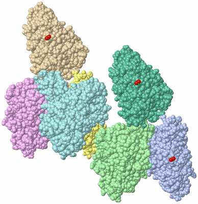 Image Biological Unit 2