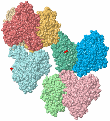 Image Biological Unit 3