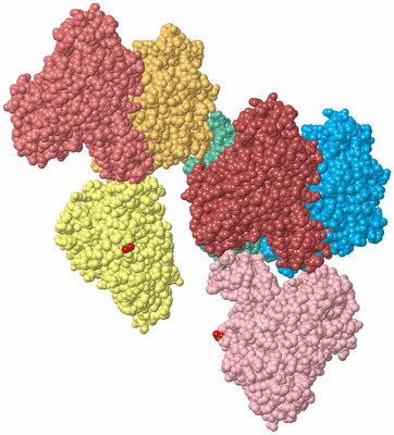 Image Biological Unit 4