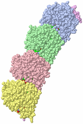 Image Asym./Biol. Unit - sites