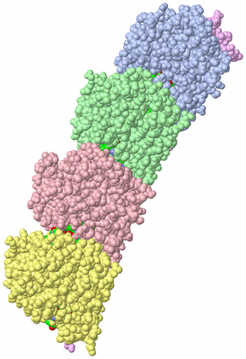 Image Asym./Biol. Unit - sites