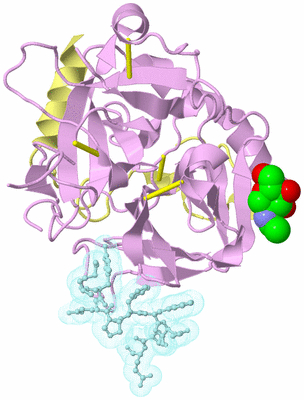 Image Biological Unit 2