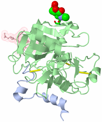 Image Biol. Unit 1 - sites