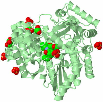 Image Biological Unit 2