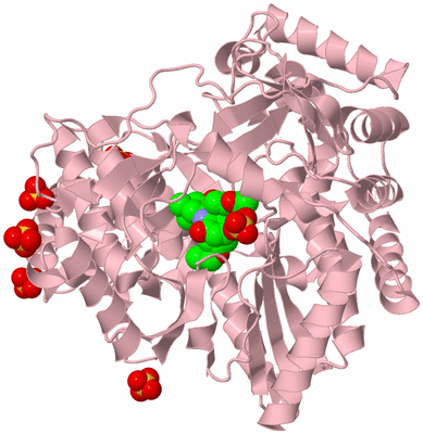 Image Biological Unit 3