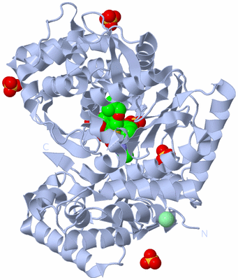 Image Biological Unit 1