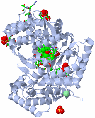 Image Biol. Unit 1 - sites